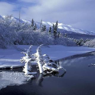 Winter Alaska wallpaper