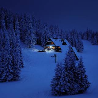 1366x768 winter wallpaper