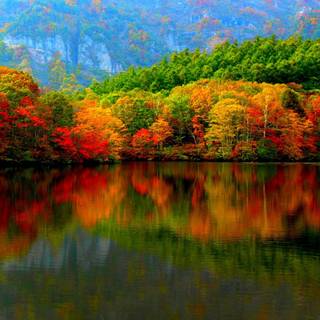 1440x900 autumn wallpaper