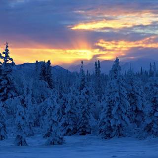 Winter Alaska wallpaper