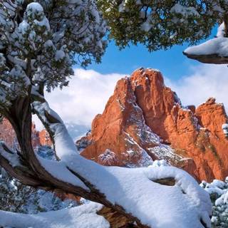 1366x768 winter wallpaper