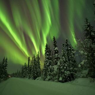 Winter Alaska wallpaper