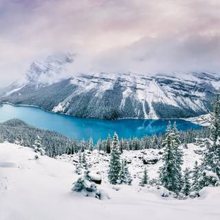 1366x768 winter wallpaper