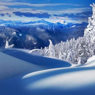 1366x768 winter wallpaper