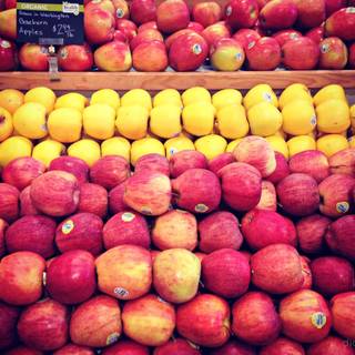 Winter fruit wallpaper