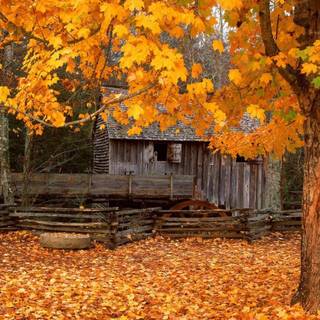 1440x900 autumn wallpaper