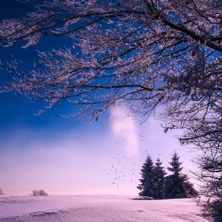 1366x768 winter wallpaper