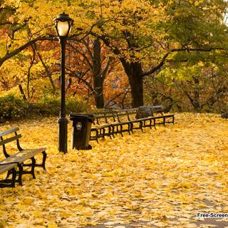 1440x900 autumn wallpaper