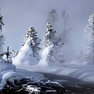 1366x768 winter wallpaper