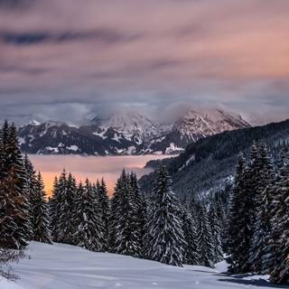 1366x768 winter wallpaper