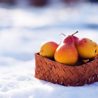 Winter fruit wallpaper