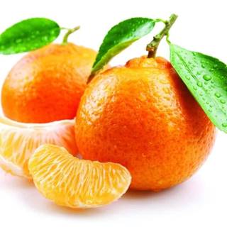 Winter fruit wallpaper