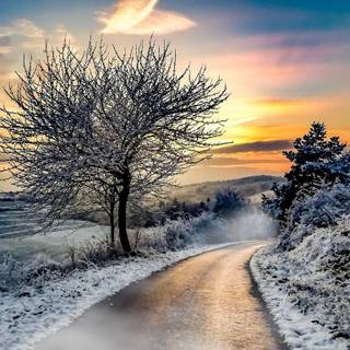 1366x768 winter wallpaper
