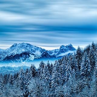 1366x768 winter wallpaper