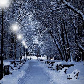 1366x768 winter wallpaper