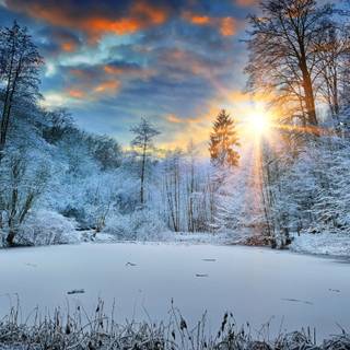 1366x768 winter wallpaper