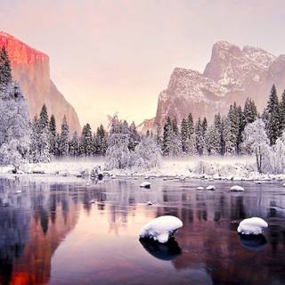 1366x768 winter wallpaper