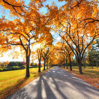 1440x900 autumn wallpaper