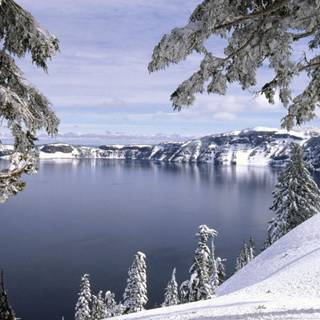 1366x768 winter wallpaper