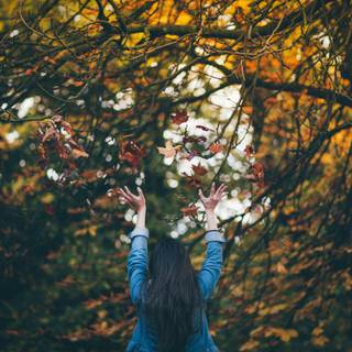 1440x900 autumn wallpaper