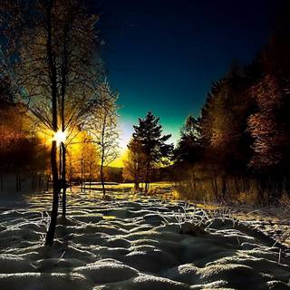 1366x768 winter wallpaper