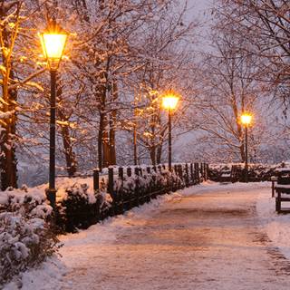 1366x768 winter wallpaper