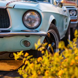 Mustang art iPhone wallpaper