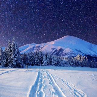 Winter mountain night wallpaper