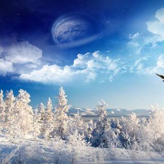 Fantasy winter forest wallpaper