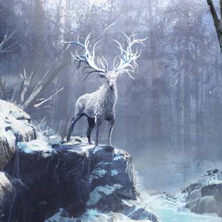Fantasy winter forest wallpaper