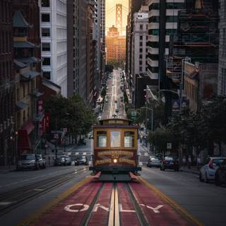Trams wallpaper