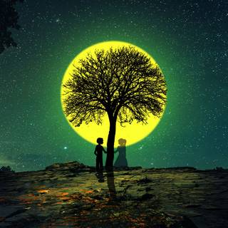 Love night 4k wallpaper