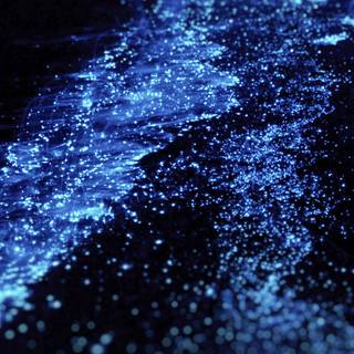 Glowing ocean wallpaper
