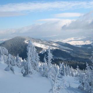 Ukraine winter wallpaper