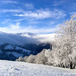 Ukraine winter wallpaper