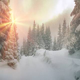 Ukraine winter wallpaper