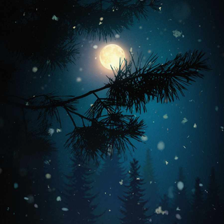 Winter night iPhone wallpaper