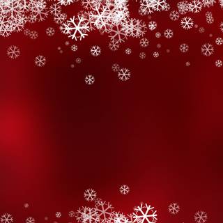 Winter red wallpaper