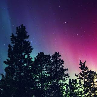 Winter night iPhone wallpaper