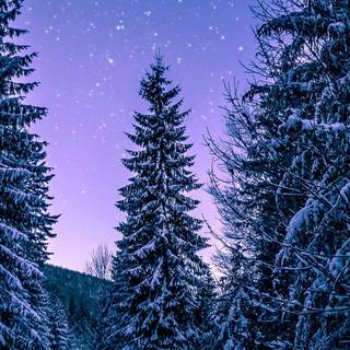 Winter night iPhone wallpaper