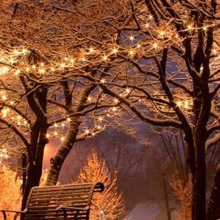 Winter night iPhone wallpaper