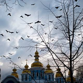 Ukraine winter wallpaper