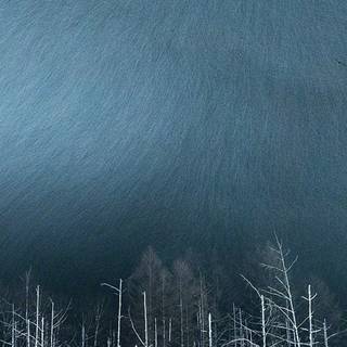 Winter night iPhone wallpaper