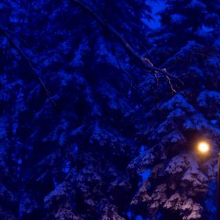 Winter night iPhone wallpaper