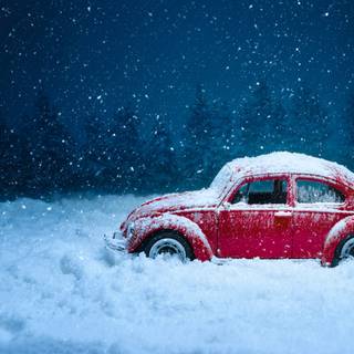 Winter red wallpaper