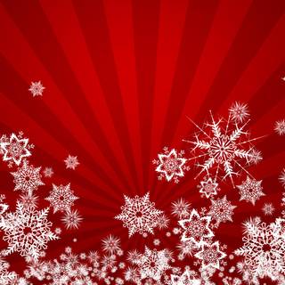 Winter red wallpaper