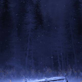 Winter night iPhone wallpaper