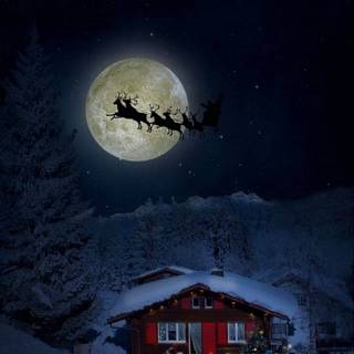 Winter night iPhone wallpaper