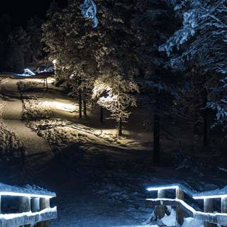 Winter night iPhone wallpaper