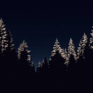 Winter night iPhone wallpaper